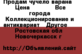 Продам чучело варана. › Цена ­ 15 000 - Все города Коллекционирование и антиквариат » Другое   . Ростовская обл.,Новочеркасск г.